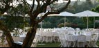 Parasol Prostor P50