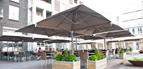 Parasol P6