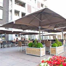 parasol P6